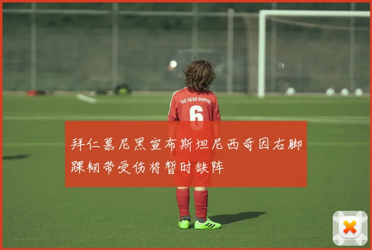 拜仁慕尼黑宣布斯坦尼西奇因右脚踝韧带受伤将暂时缺阵
