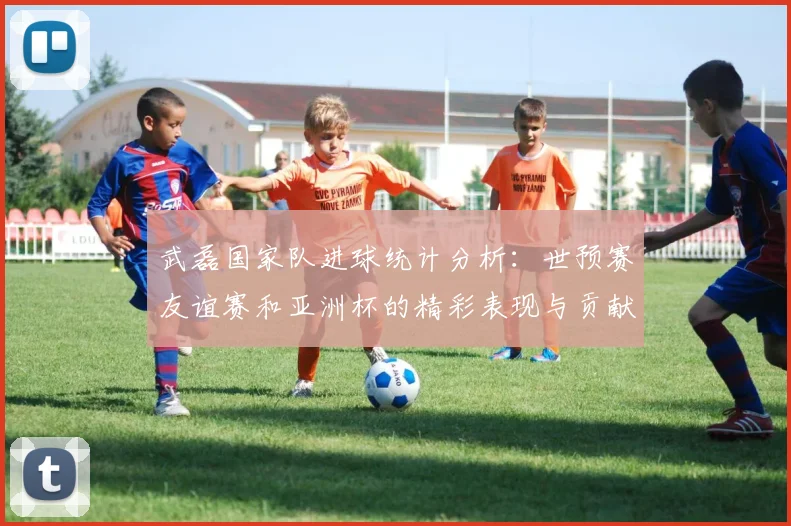 武磊国家队进球统计分析：世预赛友谊赛和亚洲杯的精彩表现与贡献